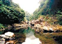 七星坑自然保护区